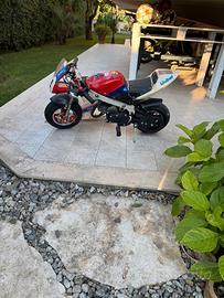 MINI MOTO