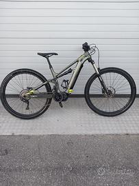 Bicicletta elettrica.