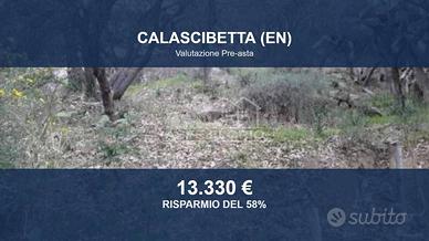 Immobile in asta di 40310 m² a Calascibetta