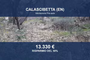 Immobile in asta di 40310 m² a Calascibetta