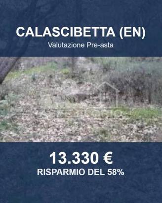 Immobile in asta di 40310 m² a Calascibetta