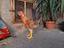 Immagine 3