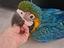 Immagine 1