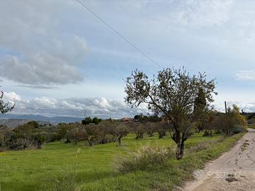 Vendita terreno Edificabile