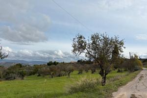 Vendita terreno Edificabile