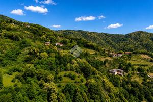 RUSTICO A BRONDELLO