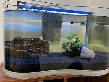 Acquario con accessori