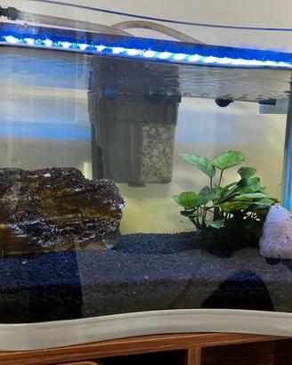 Acquario con accessori