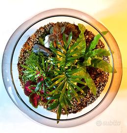 Terrario di piante tropicali