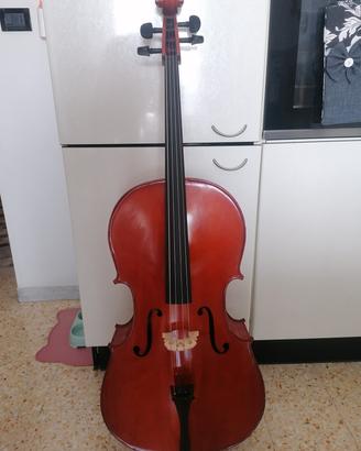 Violoncello 4/4 da studio