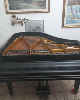 2 pianoforti