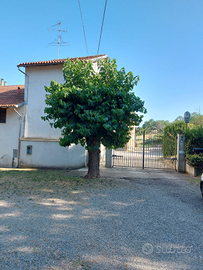 Villa casa di campagna in Monferrato