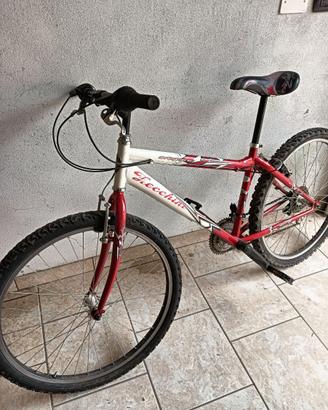 MTB ZECCHINI PER RAGAZZO