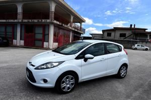 Ford Fiesta 1.4 TDCi 5p.