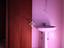 Immagine 13