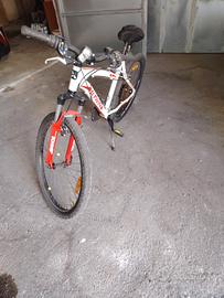 Mountain bike 