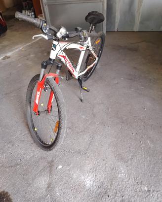 Mountain bike 