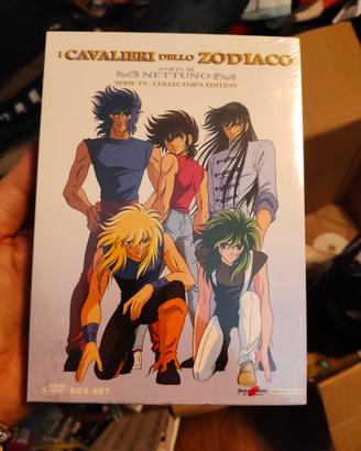 i cavalieri dello zodiaco 