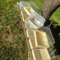 Vaschette per bagnetto ucelli