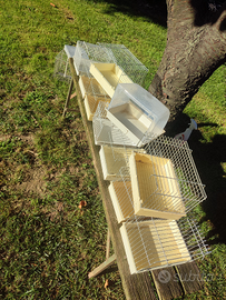 Vaschette per bagnetto ucelli