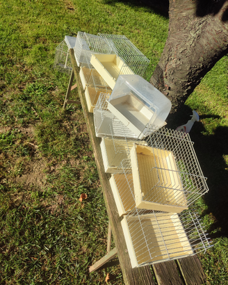 Vaschette per bagnetto ucelli