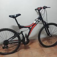 bicicletta mbm