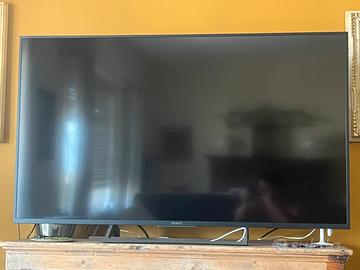 Televisore Sony 55pollici