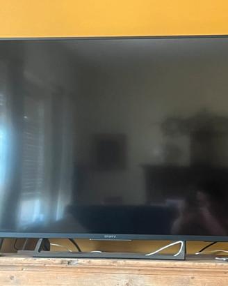 Televisore Sony 55pollici