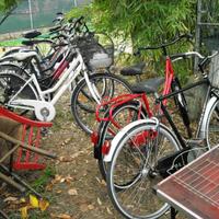Bici usate