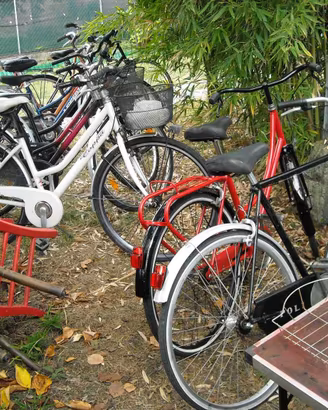Bici usate