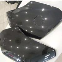 Coppia Fianchetti Bmw R 1200 RT