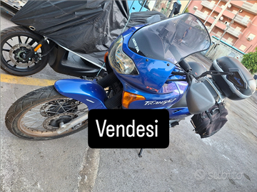 Vendita honda transalp 650 blu