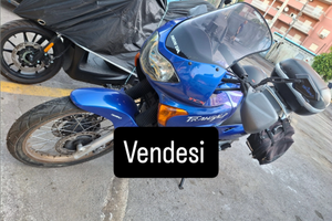 Vendita honda transalp 650 blu