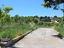Immagine 16