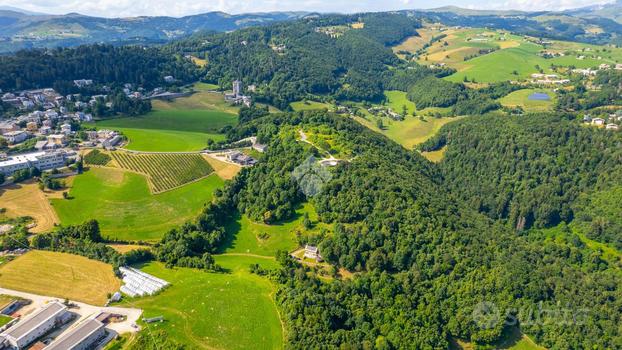 TER. AGRICOLO A BOSCO CHIESANUOVA