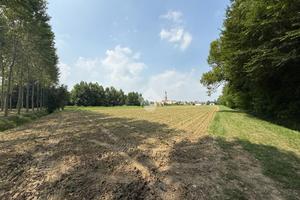 TER. AGRICOLO A SCORZÈ