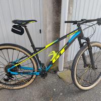 Mtb GT in carbonio