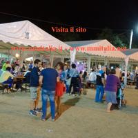 Tendostruttura 8 x 12 x 4,4 mt -Professionale