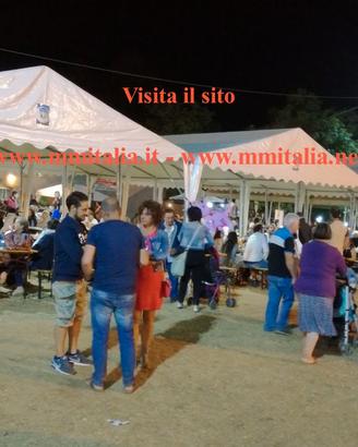Tendostruttura 8 x 12 x 4,4 mt -Professionale