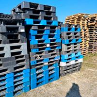 Pallets in legno e plastica