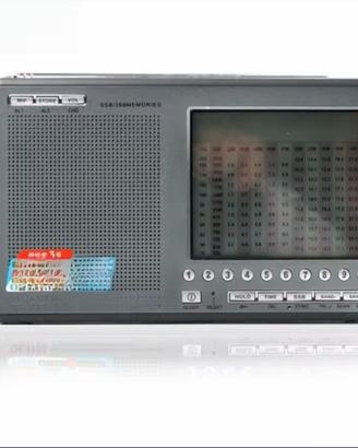 DE1103 Ricevitore radio stereo digitale a onde cor