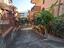 Immagine 29