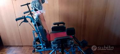 Sedia a rotelle