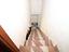Immagine 14