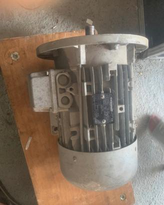 Motore trifase carpanelli m100b4