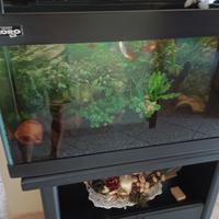 acquario 150 litri