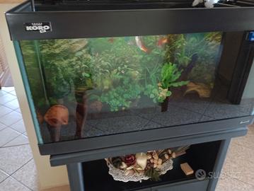 acquario 150 litri