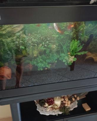 acquario 150 litri
