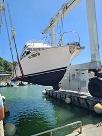 Cabinata bertram 31 fly