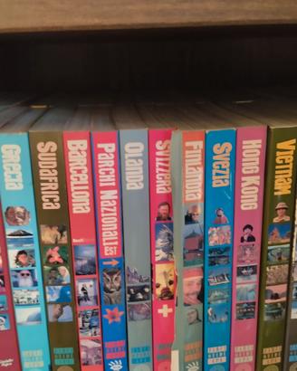 Libri guide Apa Zanfi Editori